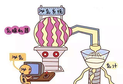 母乳检测仪厂家来给你介绍一下什么叫做泌乳